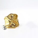 Photo 5960675039705679203 x