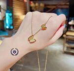 Photo 5988053184179981030 y