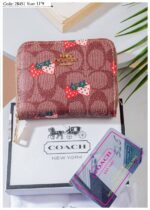 Photo 6005814042180046521 y