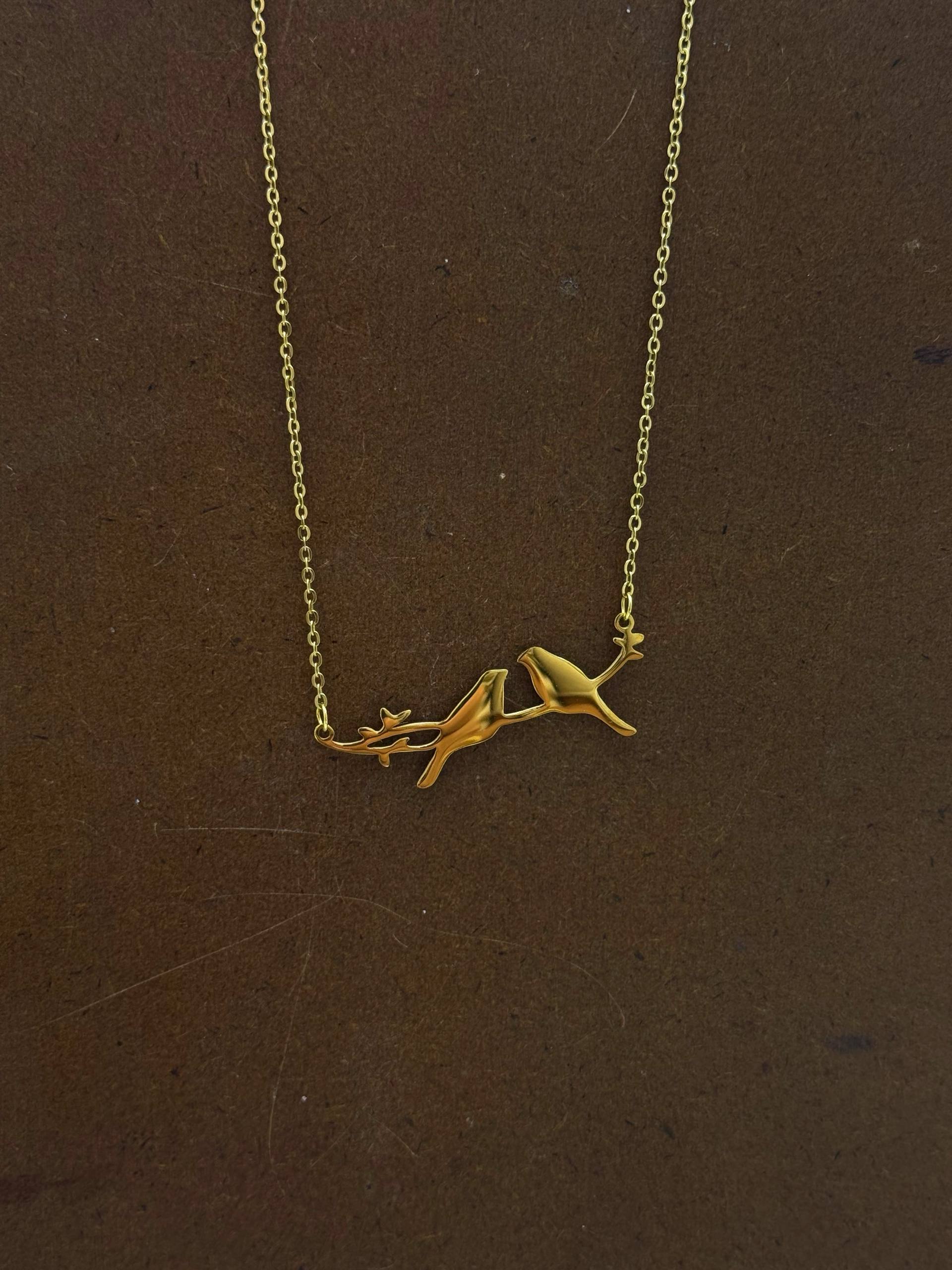 photo_6016857579919100882_w Photo 6016857579919100882 w