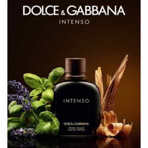 عطر إنتِنسو من دولتشي اند غابانا