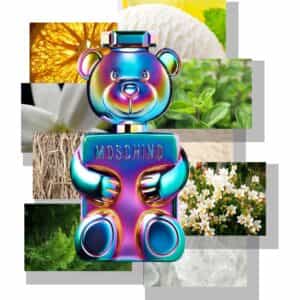 عطر توي 2 بيرل من موسكينو
