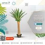 شجر صناعي ارتفاع 210 سم