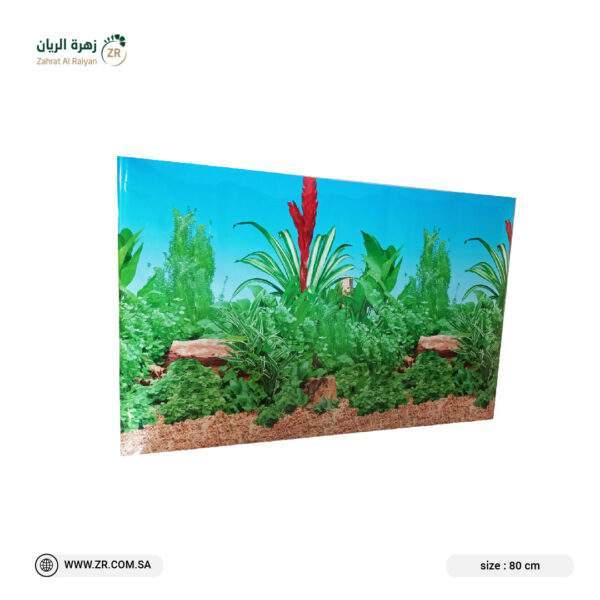 aquarium background
